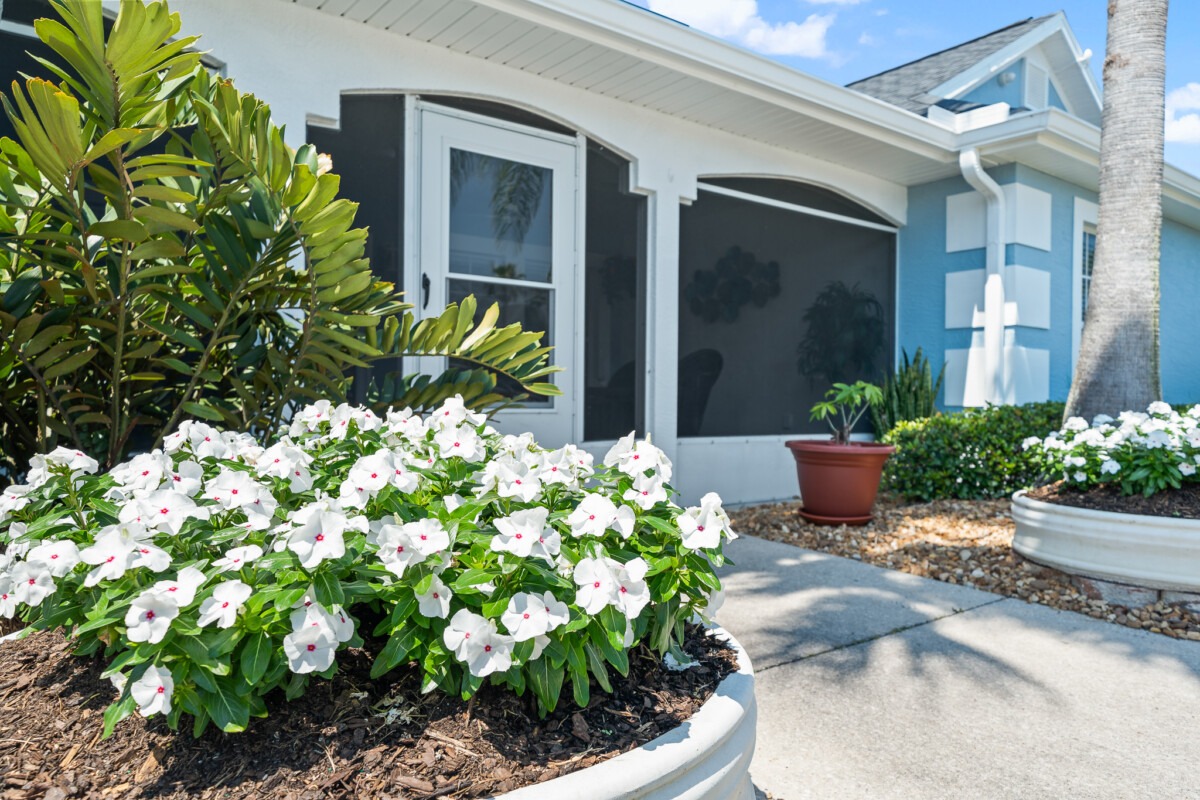 Palm Cottages